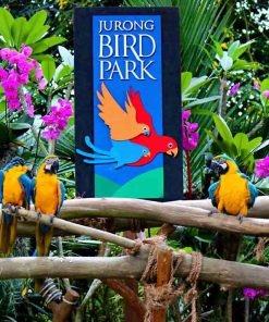 paket tour singapura