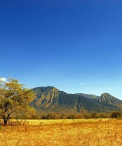 PAKET WISATA BANYUWANGI 2D1N