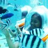 Seawalker Bali option 2
