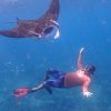Snorkeling Water Sport Bali