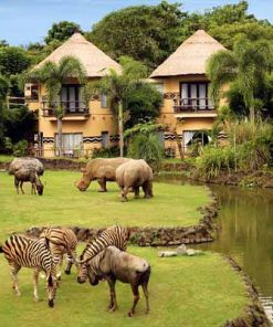 PAKET TOUR BALI 3D2N BALI SAFARI AND MARINE PARK