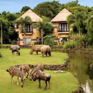 PAKET TOUR BALI 3D2N BALI SAFARI AND MARINE PARK