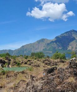 PAKET TOUR BALI 3D2N KINTAMANI