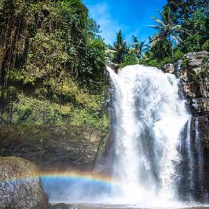 PAKET TOUR BALI 3D2N TAGENUNGAN