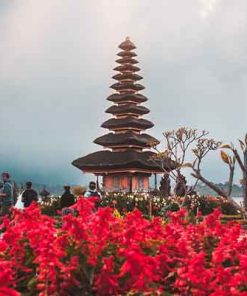 PAKET TOUR BALI 4D3N BEDUGUL
