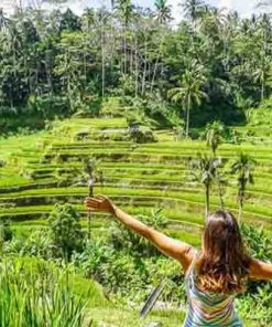 PAKET TOUR BALI 4D3N TEGALALANG RICE TERRACE