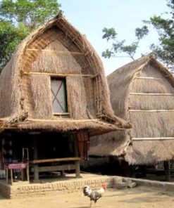 PAKET TOUR LOMBOK 2D1N SASAK