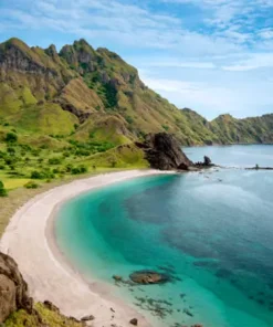 LIVE A BOARD KOMODO NATIONAL PARK AREA