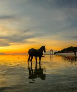 LOMBOK-GILI COMBO PAKET 03 HARI02 MALAM