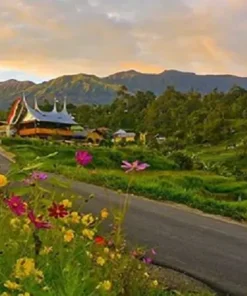 PAKET TOUR 4D3N BUKITTINGGI PADANG