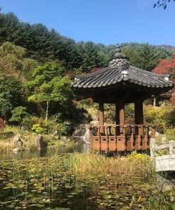 Long Weekend! SUPER PROMO KOREA SONATA GLASS BRIDGE 5D (Nami Island – Seoul)