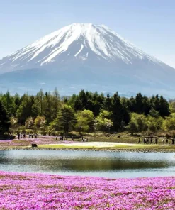 KIREI TOKYO + BRUNEI 8D (Tokyo - Mt Fuji - Kawaguchi - Yokohama - Brunei)